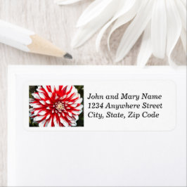 Adres van de Floral van Red en White Dahlia Etiket