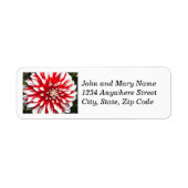 Adres van de Floral van Red en White Dahlia Etiket (Voorkant)