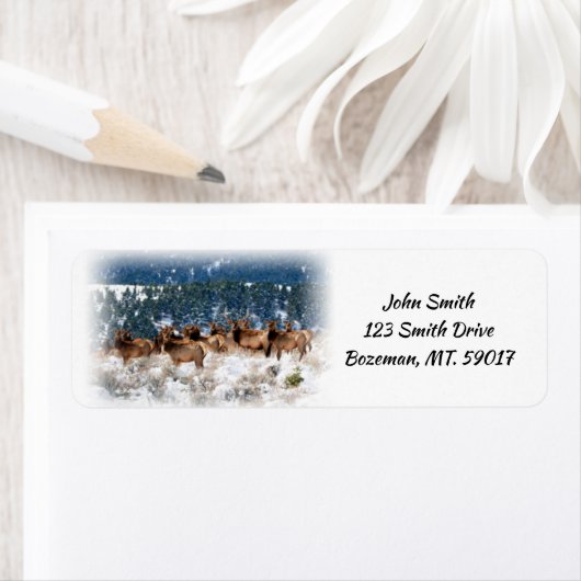 Adres van elk-terugkeer etiket (Insitu)