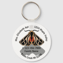 Adres van verloren Tiger Moth Family