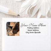 Adres voor paarden en Kitten Return Etiket (Insitu)