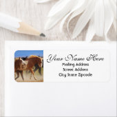 Adres voor terugkeer van wilde paarden etiket (Insitu)