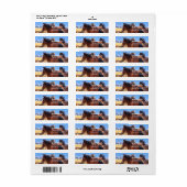 Adres voor terugkeer van wilde paarden etiket (Full Sheet)