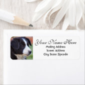 Adres voor terugzending van rand etiket (Insitu)