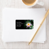 Adres Water Lily Etiket (Insitu)