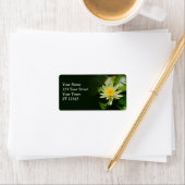 Adres Water Lily Etiket (Insitu)