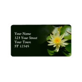 Adres Water Lily Etiket (Voorkant)