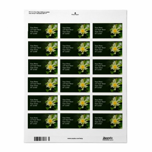 Adres Water Lily Etiket (Full Sheet)