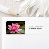 Adres Water Lily Etiket (Insitu)