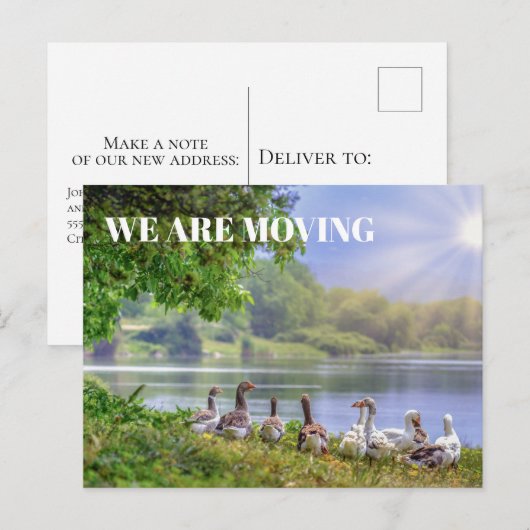 Adres Wild Geese Lake Blue Sky Sunshine Change Aankondigingskaart (Voorkant / Achterkant)