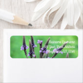 Adres Wild Paarse Vervain Etiket (Insitu)