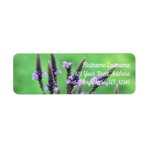 Adres Wild Paarse Vervain Etiket