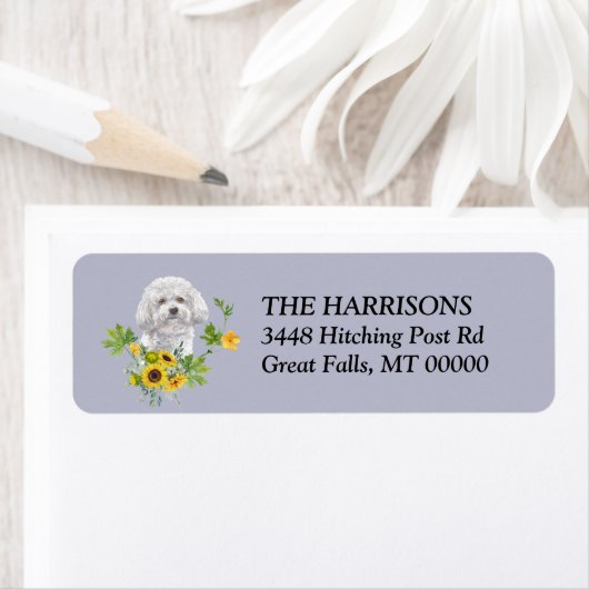 Adres zonnebloem Bichon Frise Etiket (Insitu)