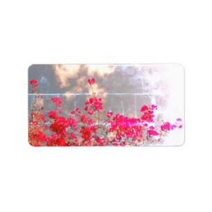 ADRESETIKETTEN COOL ECO STYLE DESIGN ETIKET