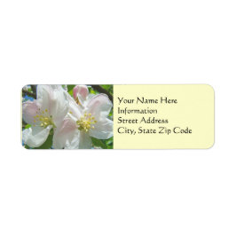 Adresetiketten Custom Spring Apple Blossom Flowers Etiket