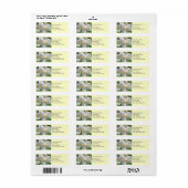 Adresetiketten Custom Spring Apple Blossom Flowers Etiket (Full Sheet)