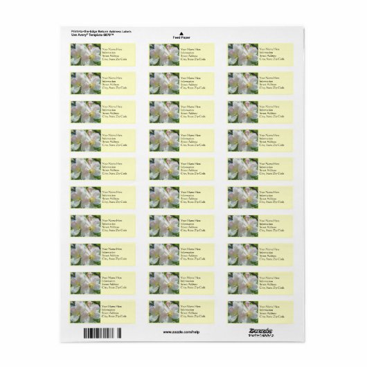 Adresetiketten Custom Spring Apple Blossom Flowers Etiket (Full Sheet)