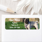 Adresetiketten Etiket (Insitu)