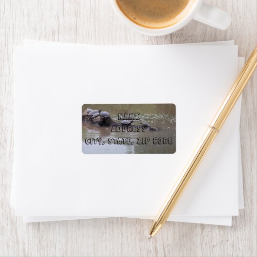 Adresetiketten Etiket (Insitu)