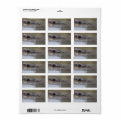 Adresetiketten Etiket (Full Sheet)