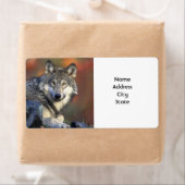 Adresetiketten Etiket (Insitu)