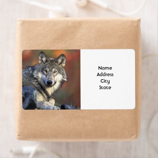 Adresetiketten Etiket (Insitu)