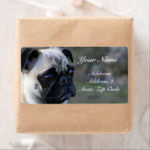 Adresetiketten Etiket (Insitu)