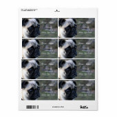 Adresetiketten Etiket (Full Sheet)