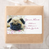 Adresetiketten Etiket (Insitu)