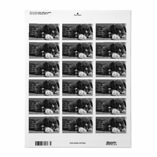 Adresetiketten Etiket (Full Sheet)