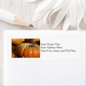 Adresetiketten: Grote pompoen Etiket (Insitu)