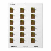 Adresetiketten in de herfst Walkway Etiket (Full Sheet)