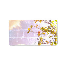 ADRESETIKETTEN KOELE ECO STIJL ONTWERP ETIKET