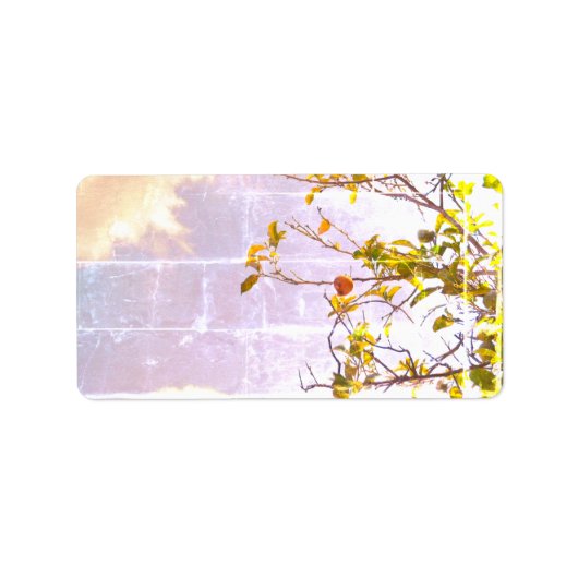 ADRESETIKETTEN KOELE ECO STIJL ONTWERP ETIKET (Voorkant)