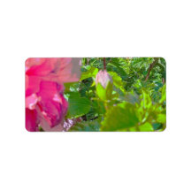 ADRESETIKETTEN KOELE ECO STIJL ONTWERP