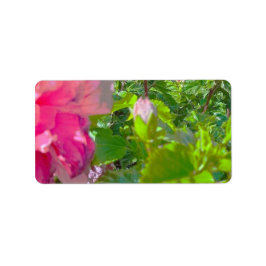 ADRESETIKETTEN KOELE ECO STIJL ONTWERP ETIKET