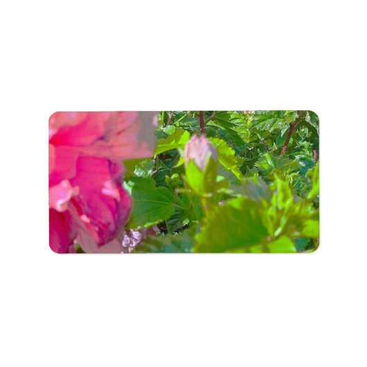 ADRESETIKETTEN KOELE ECO STIJL ONTWERP ETIKET (Voorkant)