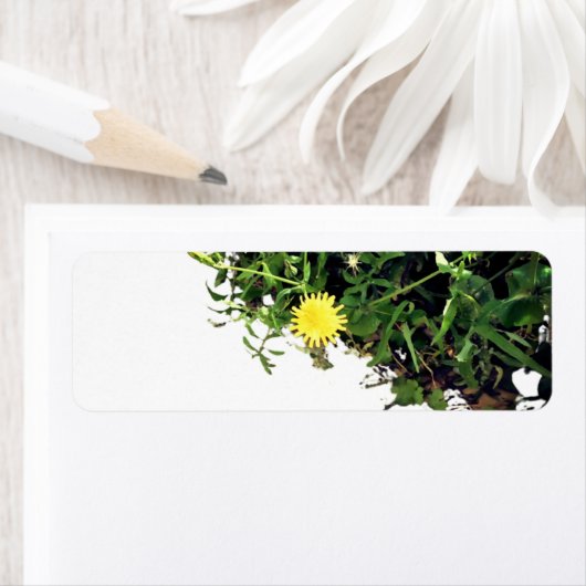 ADRESETIKETTEN KUNST EN DESIGN ETIKET (Insitu)