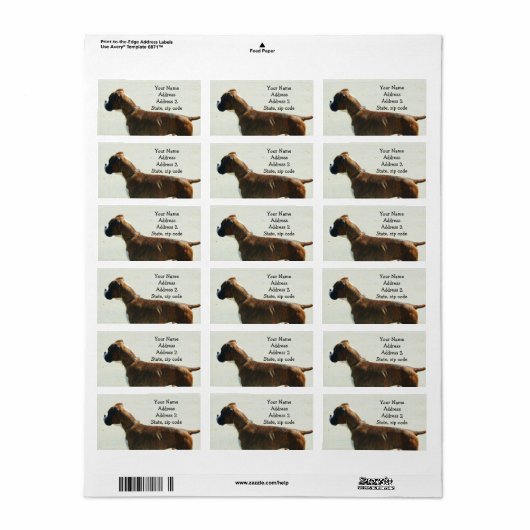 Adresetiketten met boxer etiket (Full Sheet)