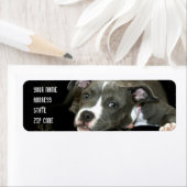 Adresetiketten met een pseudopeerpup etiket (Insitu)