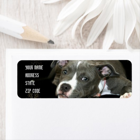 Adresetiketten met een pseudopeerpup etiket (Insitu)