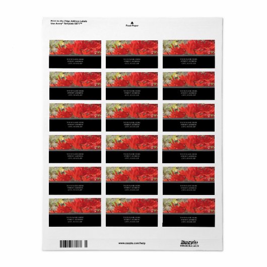 Adresetiketten met fallleves etiket (Full Sheet)