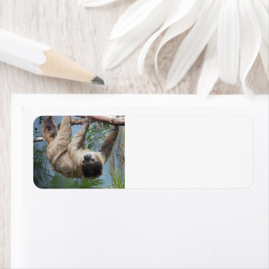 Adresetiketten met sleuf etiket (Insitu)