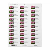 Adresetiketten: Pink Dogwood Etiket (Full Sheet)