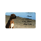 Adresetiketten van Brindle Boxer-honden Etiket (Voorkant)