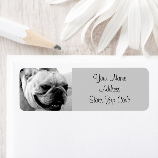 Adresetiketten van Bulldog Etiket (Insitu)