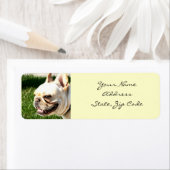 Adresetiketten van Bulldog Etiket (Insitu)