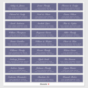 Adresetiketten van de blauw-bruiloft van het Manus Sticker