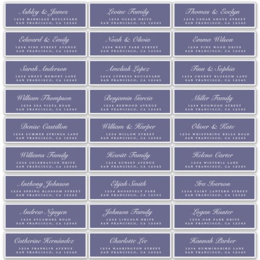 Adresetiketten van de blauw-bruiloft van het Manus Sticker (Voorkant)