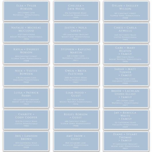 Adresetiketten van de blauwbruine bruiloft van het sticker (Voorkant)